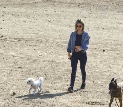 dogpark201118-190.jpg