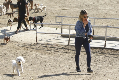 dogpark201118-193.jpg