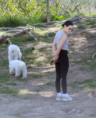 dogpark220325-003.jpg