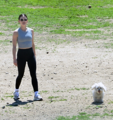 dogpark220325-013.jpg