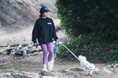 dogsla121122001.JPG