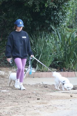 dogsla121122004.JPG