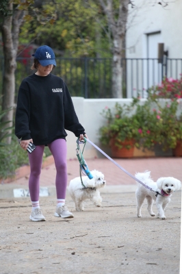 dogsla121122005.JPG