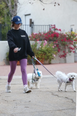 dogsla121122006.JPG