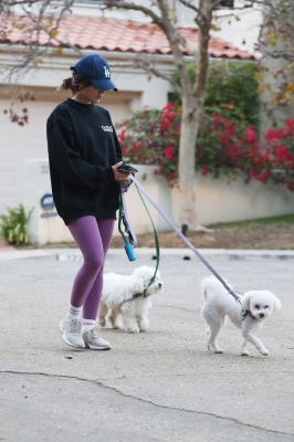 dogsla121122007.JPG