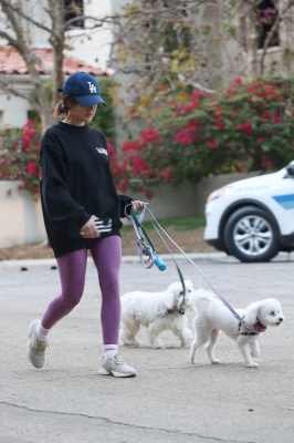dogsla121122008.JPG
