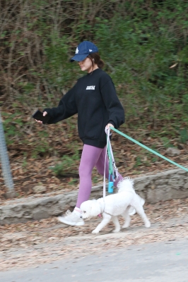 dogsla121122009.JPG