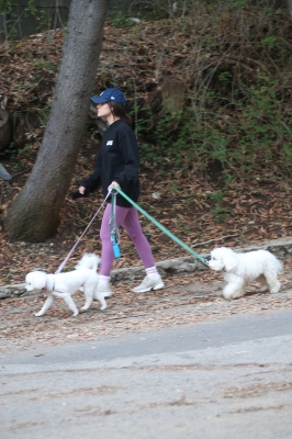 dogsla121122010.JPG