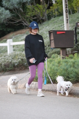 dogsla121122011.JPG