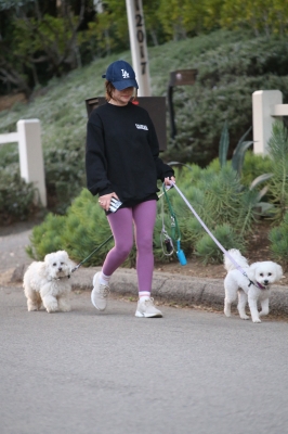 dogsla121122012.JPG
