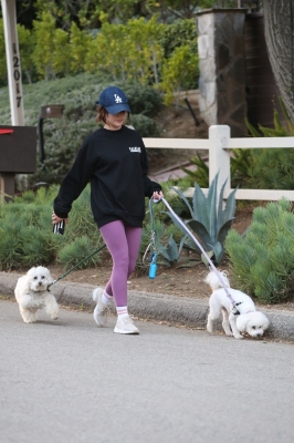 dogsla121122013.JPG