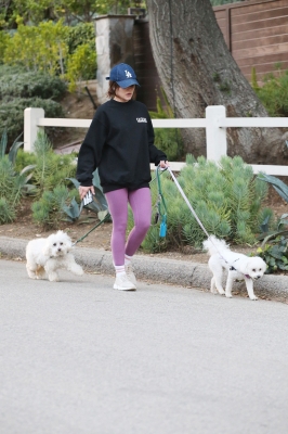 dogsla121122014.JPG