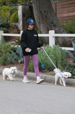 dogsla121122015.JPG