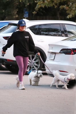 dogsla121122017.JPG