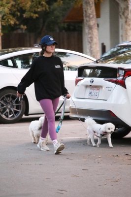 dogsla121122018.JPG