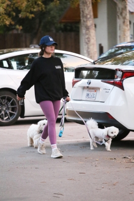 dogsla121122019.JPG