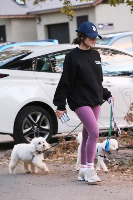 dogsla121122020.JPG