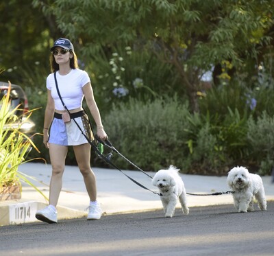 dogsla1570724-002.jpg