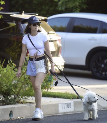 dogsla1570724-013.jpg