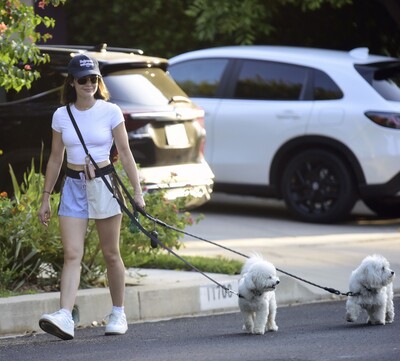 dogsla1570724-014.jpg