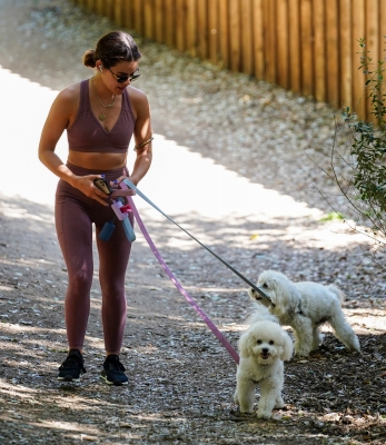 dogsla250422-026.jpg