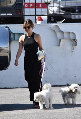 dogssc060422-006.jpg