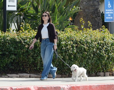 dogwalk271024-026.jpg