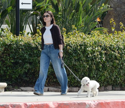 dogwalk271024-027.jpg