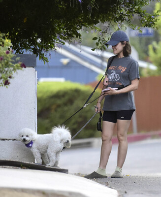 dogwalkla1170724-001.jpg