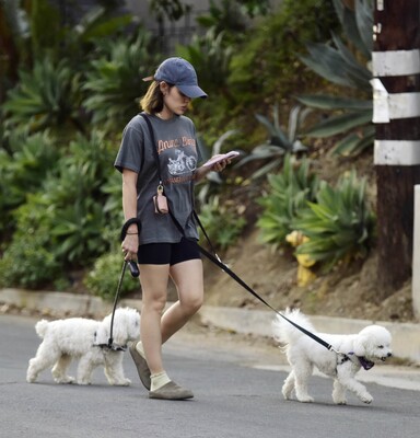 dogwalkla1170724-013.jpg