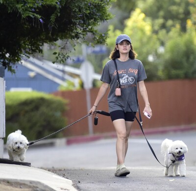 dogwalkla1170724-020.jpg