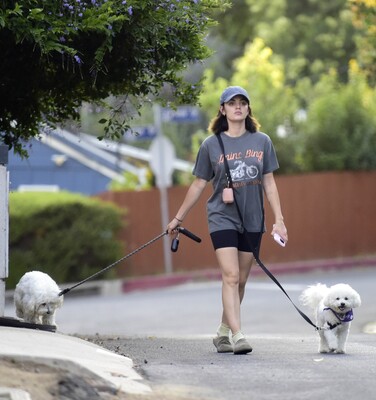 dogwalkla1170724-021.jpg