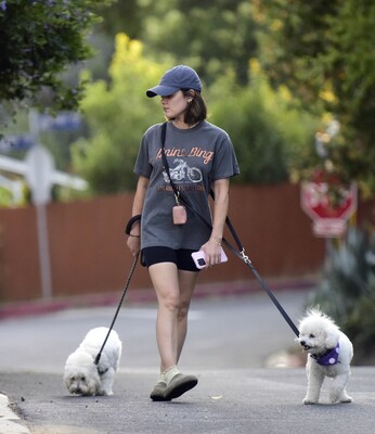 dogwalkla1170724-025.jpg