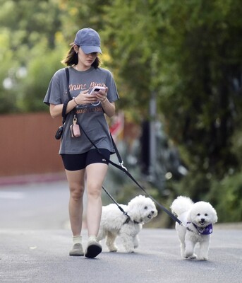 dogwalkla1170724-026.jpg