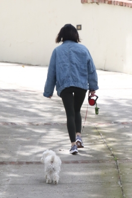 elvisla130420-018.jpg