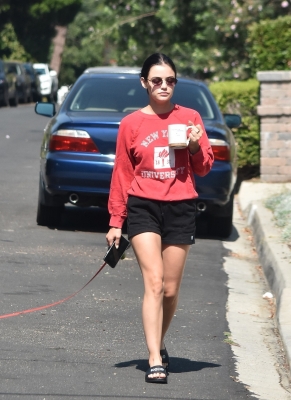 elvissc160720-032.jpg