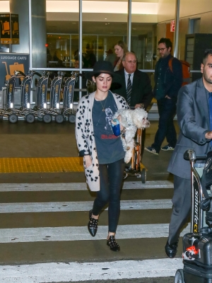 HQ
