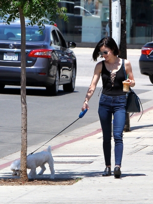 lucy_281829.jpg