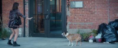 puppylovelhbr-050.jpg