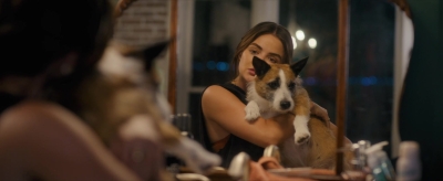 puppylovelhbr-142.jpg