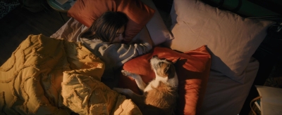 puppylovelhbr-149.jpg