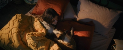 puppylovelhbr-155.jpg