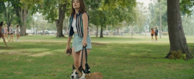 puppylovelhbr-303.jpg