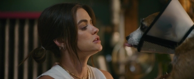 puppylovelhbr-443.jpg