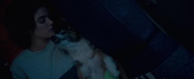 puppylovelhbr-559.jpg