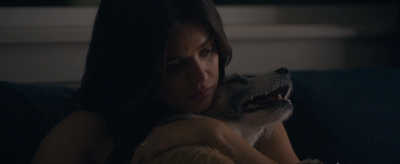 puppylovelhbr-888.jpg