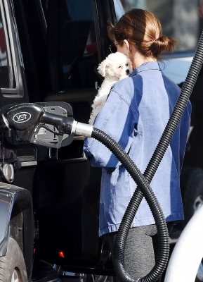 seenatthegasstationinstudiocity100221_047.jpg