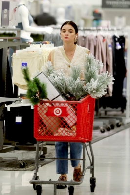 shoppingtarget011122-003.JPG
