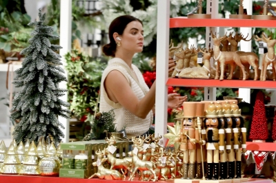 shoppingtarget011122-020.JPG