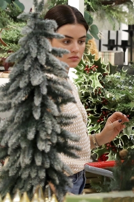 shoppingtarget011122-021.JPG